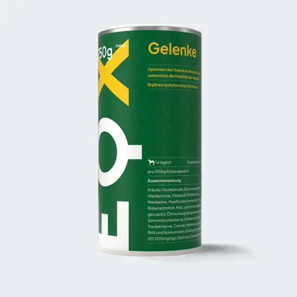 EQX «Gelenke»