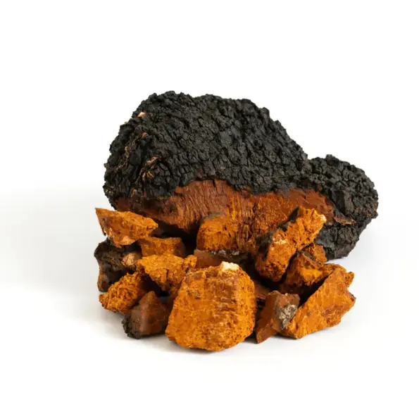 Natusat «Chaga Pulver» 100 g – Bild 2