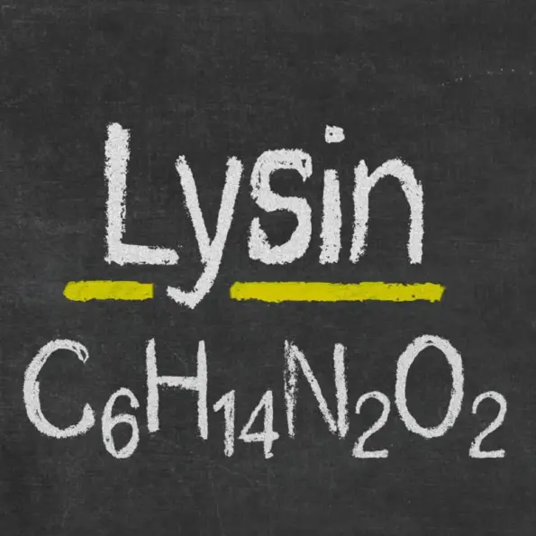 Natusat «L-Lysin» 1 kg – Bild 3