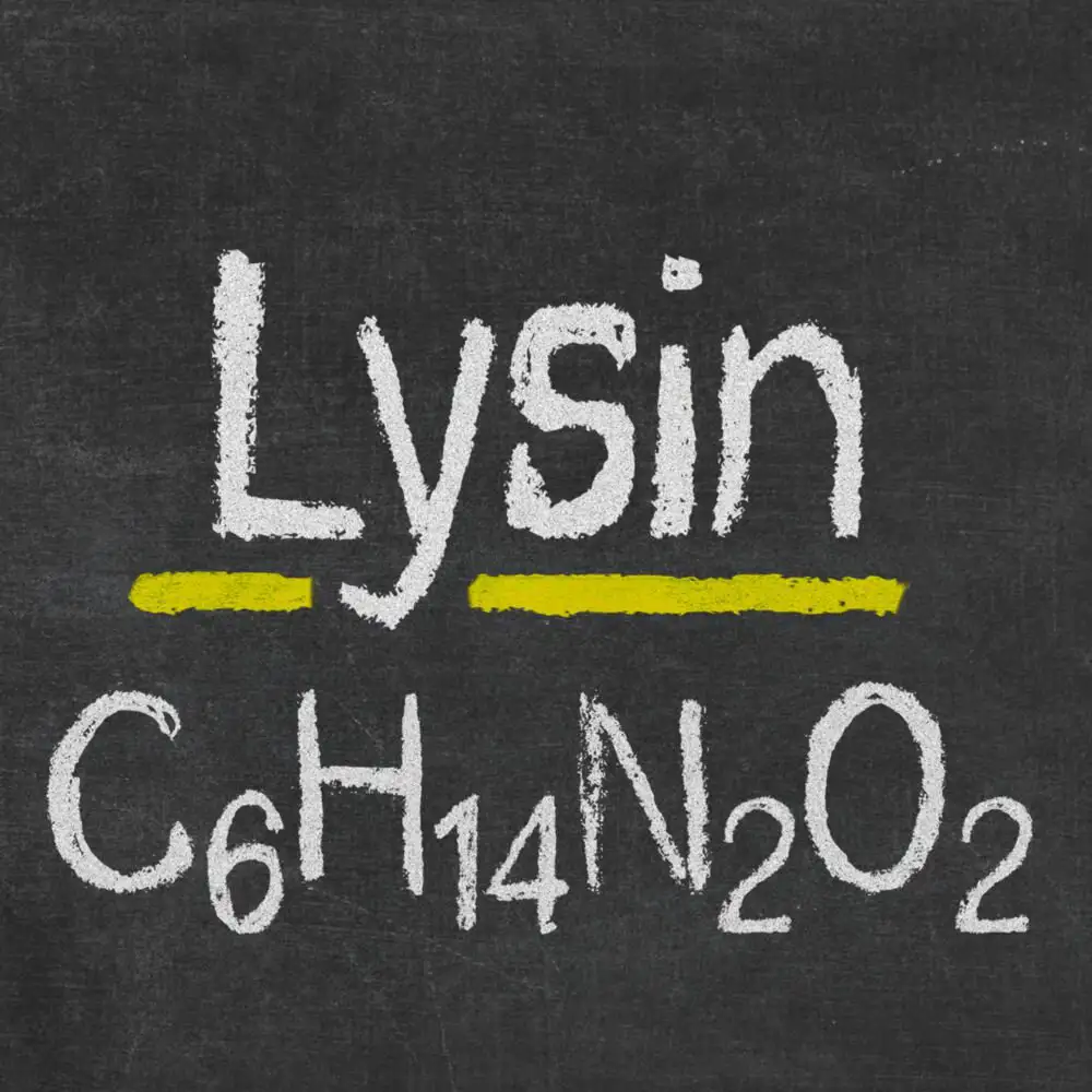 Natusat «L-Lysin» 1 kg – Bild 3