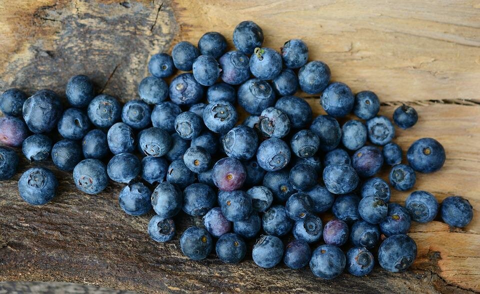 Natusat «Leichte Blaubeere» – Bild 3