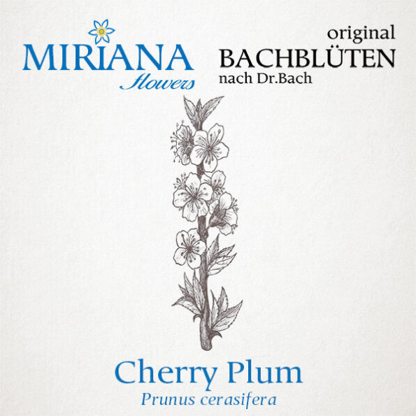 Miriana «Pet 06 Cherry Plum» Globuli 10 g – Bild 4