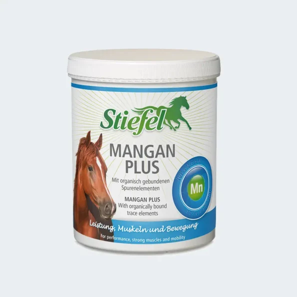 Stiefel «Mangan Plus»