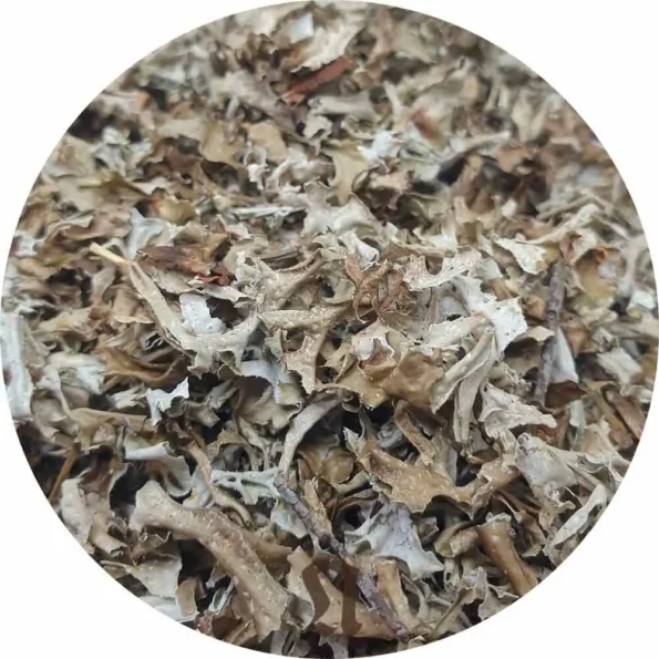 Natusat «Island Moos geschnitten» 500 g – Bild 2