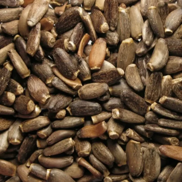 Natusat «Mariendistelsamen ganz» 500 g – Bild 2