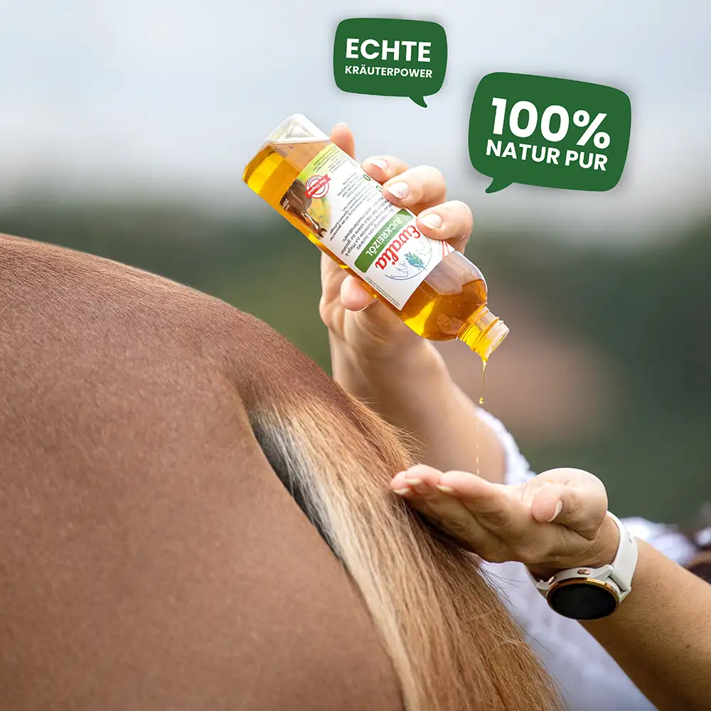 EWALIA «Juckreizöl für Pferde» 250ml – Bild 7