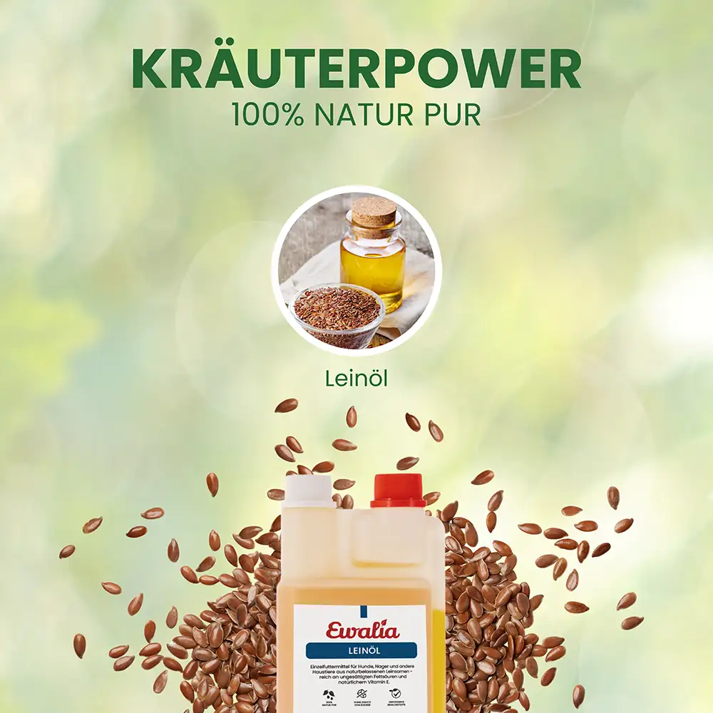 EWALIA «Leinöl für Hunde» 500ml – Bild 4
