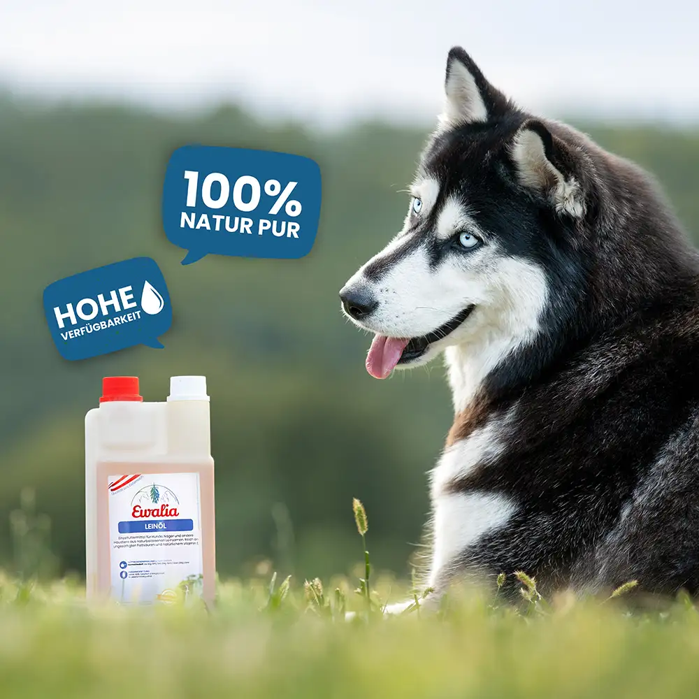 EWALIA «Leinöl für Hunde» 500ml – Bild 7