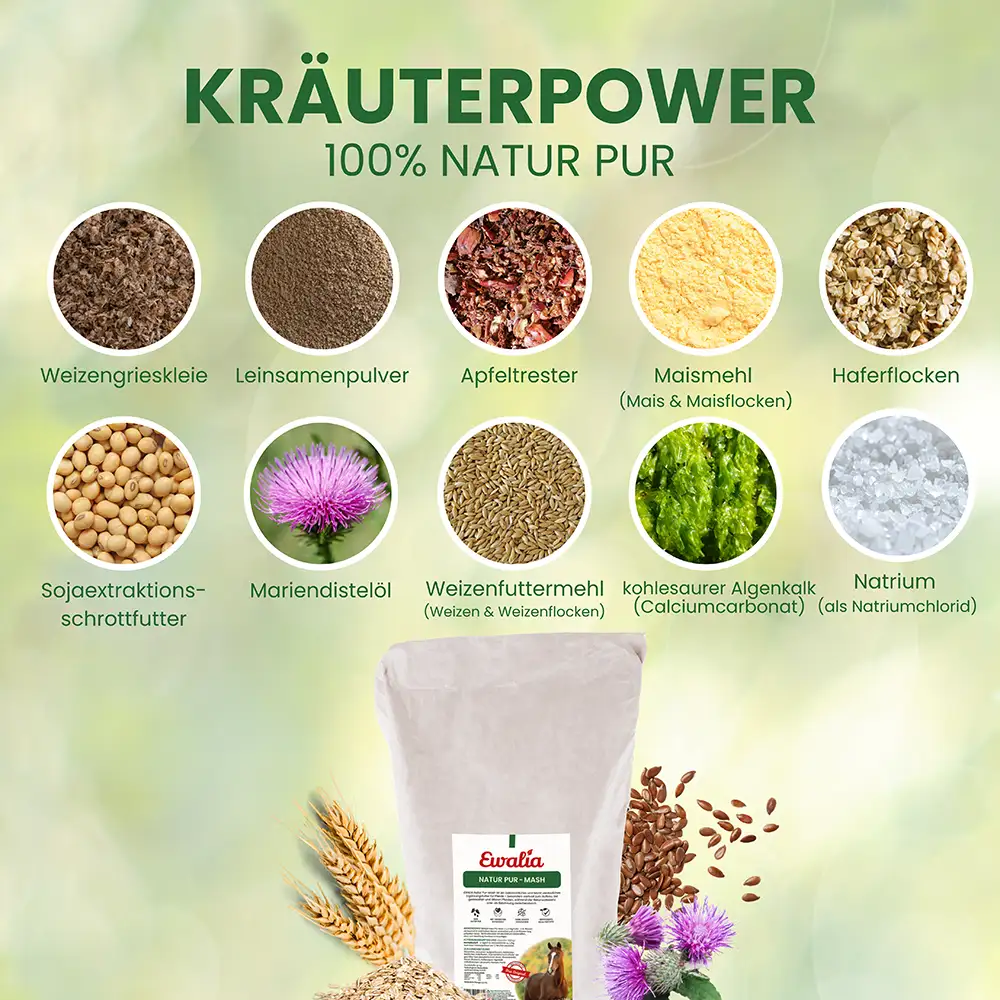 EWALIA «Natur Pur - Mash für Pferde» 10kg – Bild 5