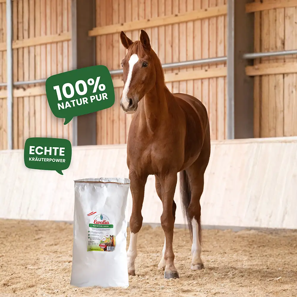 EWALIA «Natur Pur - Mash für Pferde» 10kg – Bild 7