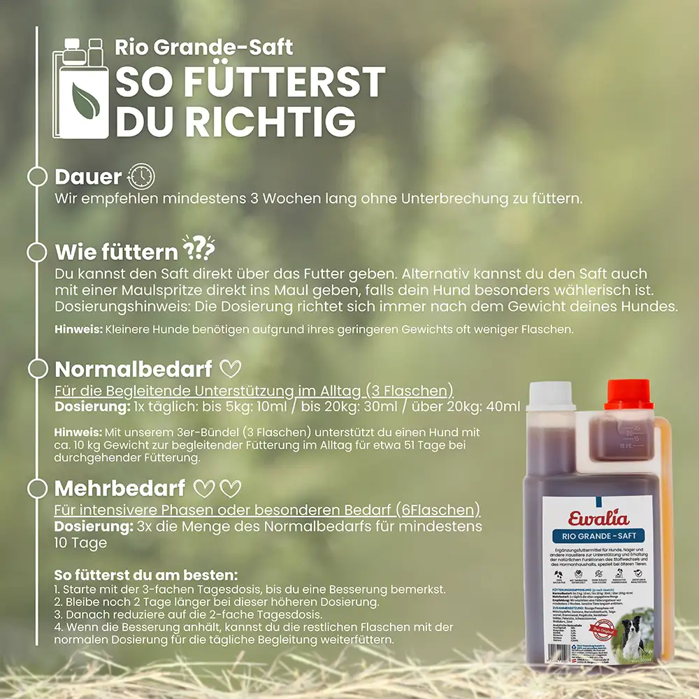 EWALIA «Rio Grande-Saft für Hunde» 500ml – Bild 4