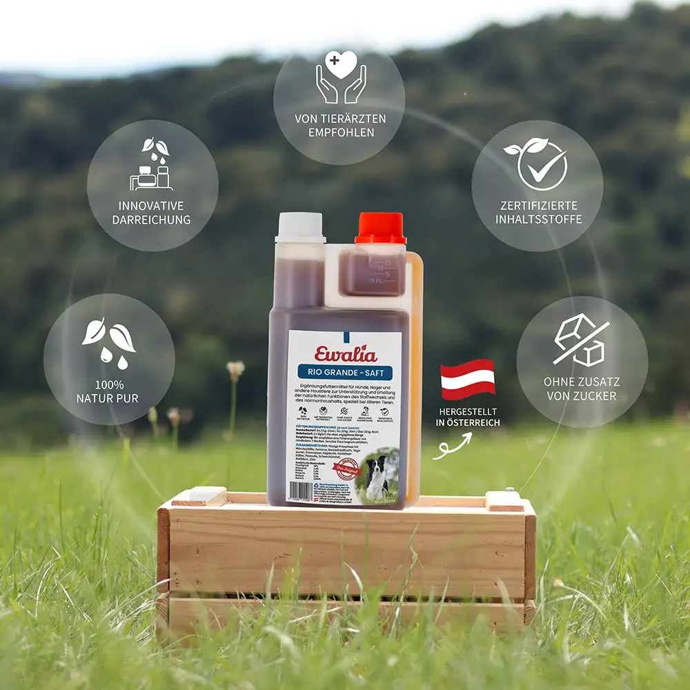 EWALIA «Rio Grande-Saft für Hunde» 500ml – Bild 6