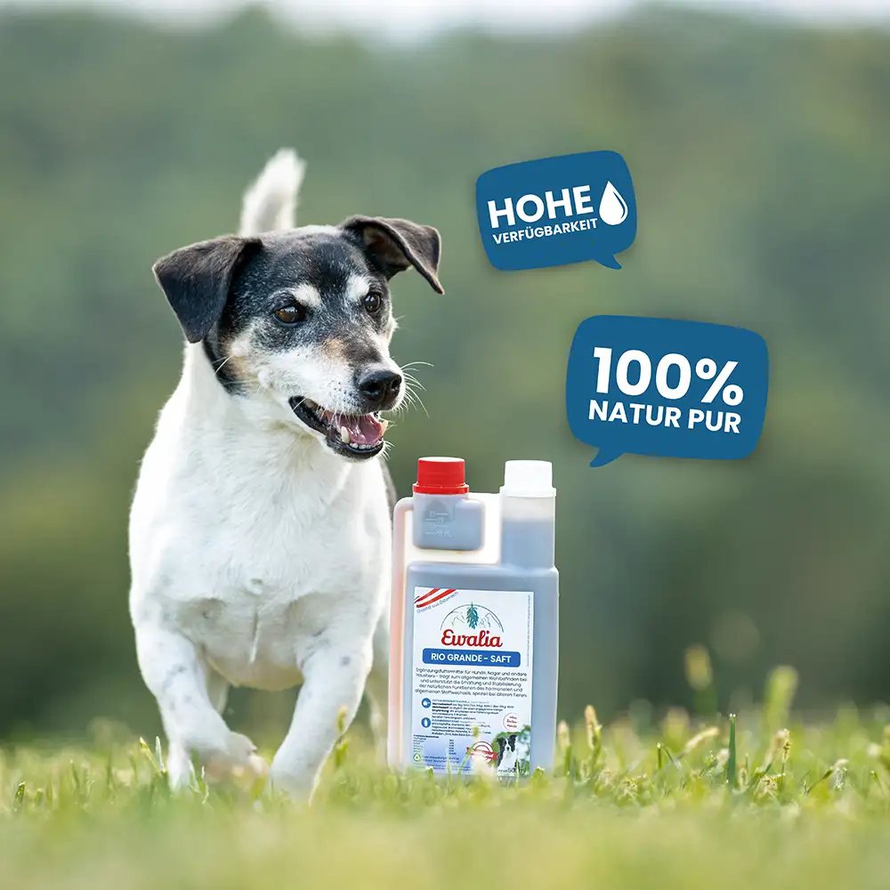 EWALIA «Rio Grande-Saft für Hunde» 500ml – Bild 7