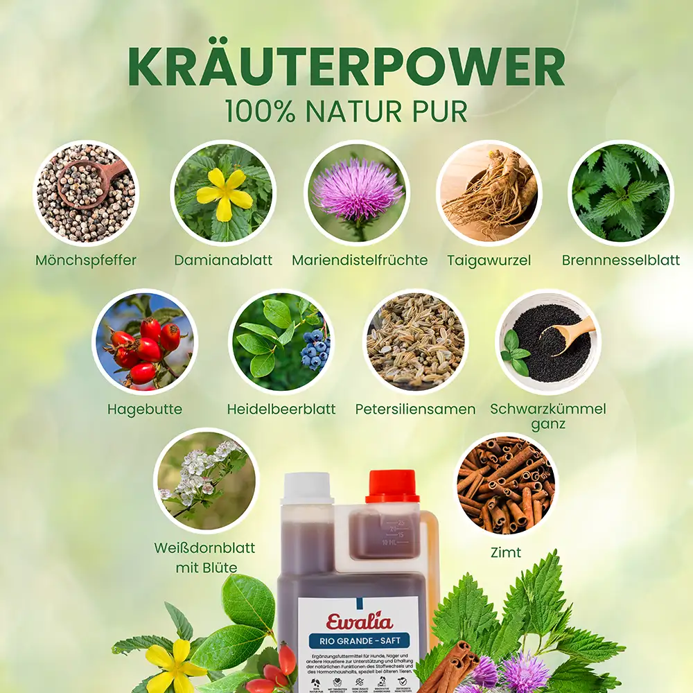 EWALIA «Rio Grande-Saft für Hunde» 500ml – Bild 5
